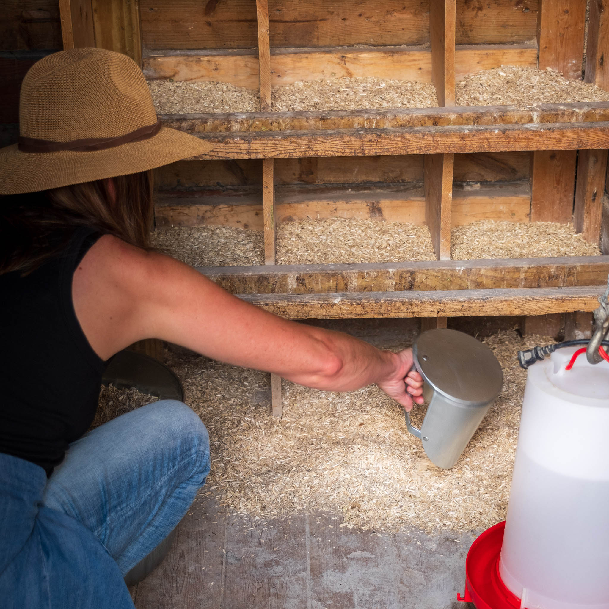 Person in a straw hat and blue jeans using a metal container to scoop hemp pet bedding from wooden shelves.