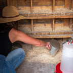 Person in a straw hat and blue jeans spreading hemp animal bedding in chicken coop