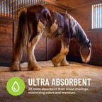 Horse standing on bed of absorbent hemp bedding