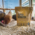 Healthy Hens Bundle