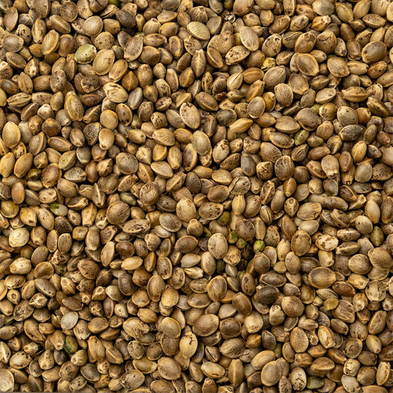 Whole Hemp Seeds